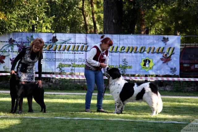 Фотография № 135593