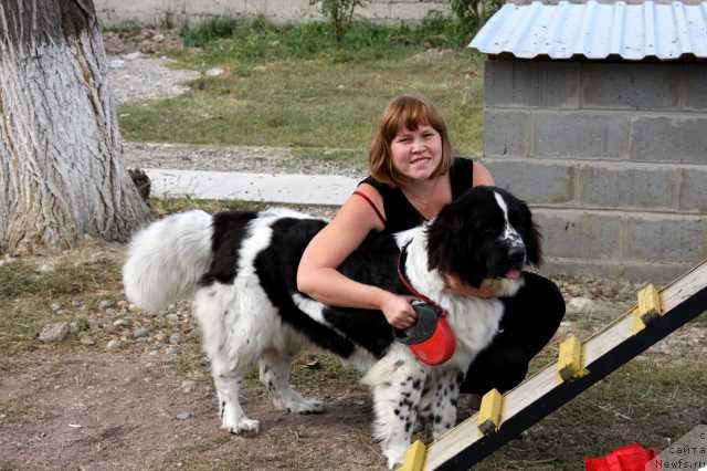 Фотография № 135594