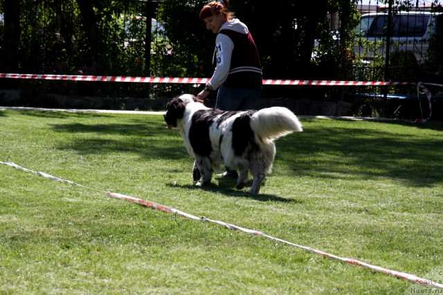 Фотография № 135595