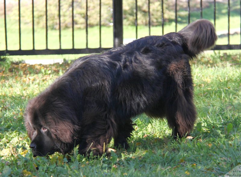 Фотография № 135667