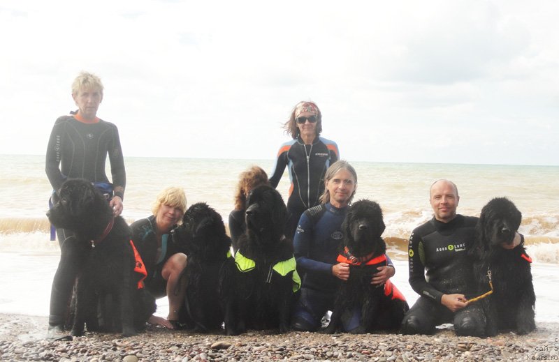 Фотография № 135720