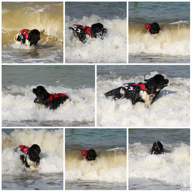 Фотография № 135738