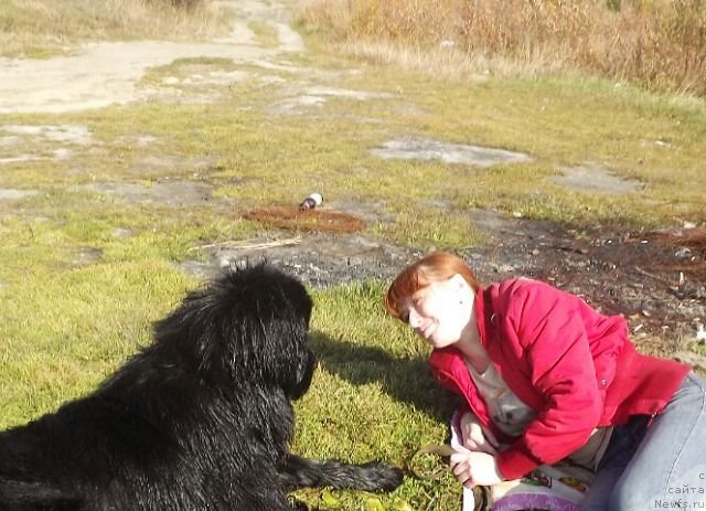 Фотография № 135750