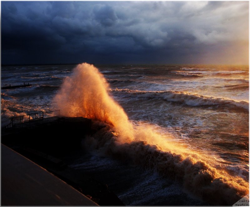 Фотография № 135769