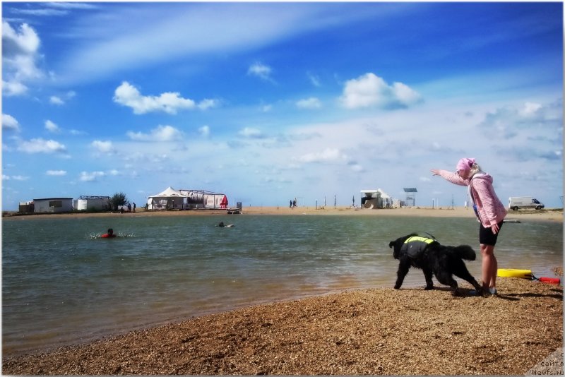 Фотография № 135770