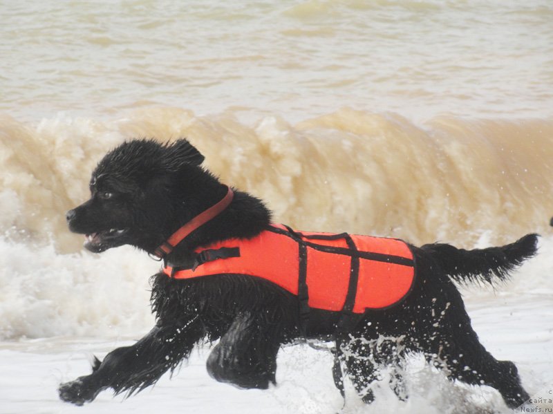 Фотография № 135840