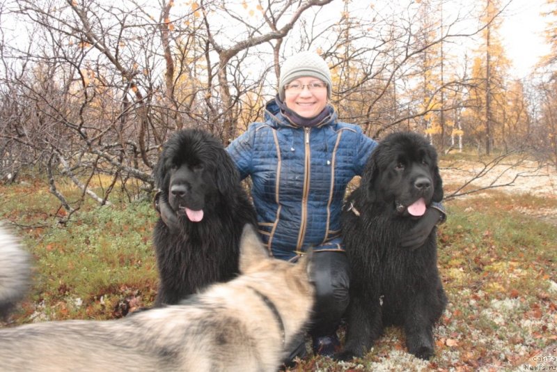 Фотография № 135861