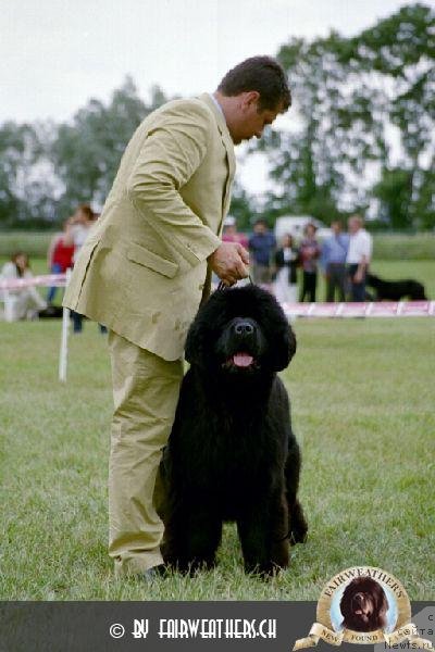 Фотография № 135879