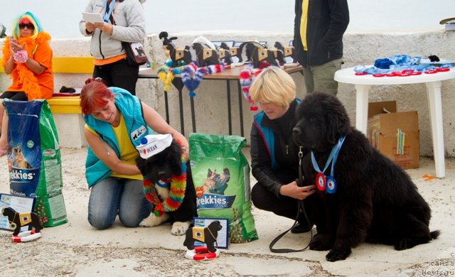 Фотография № 135911