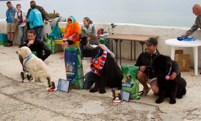 Фотография № 135913