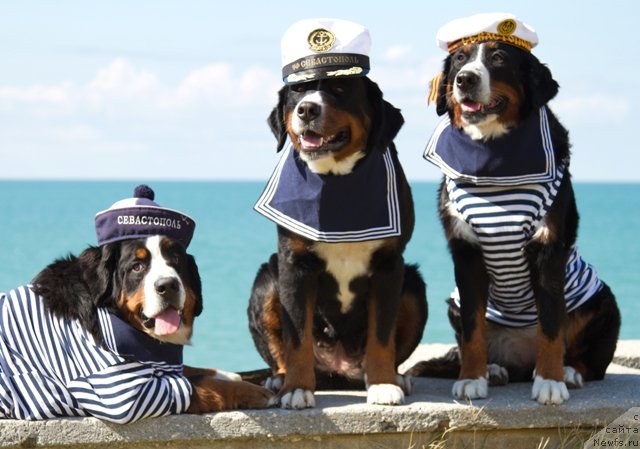 Фотография № 135914