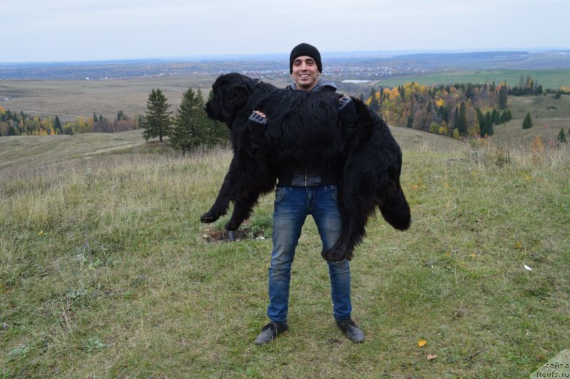 Фотография № 135915