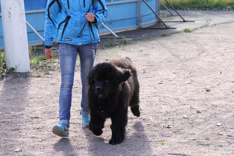 Фотография № 135929