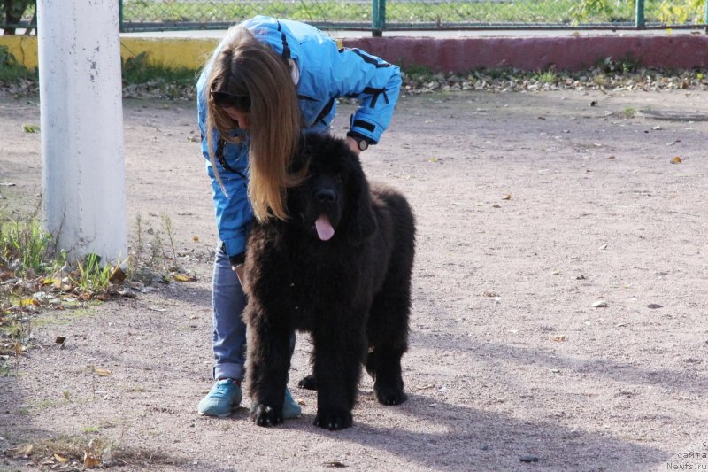 Фотография № 135930