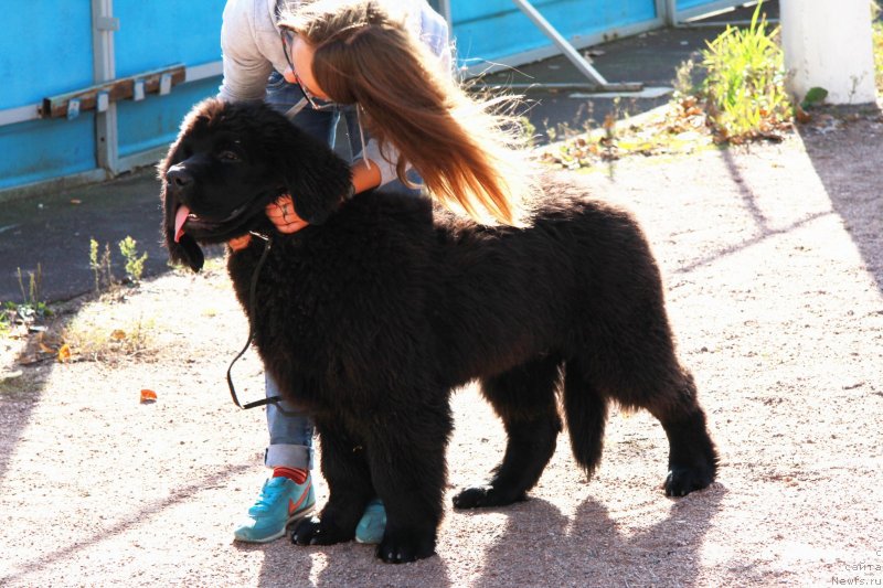 Фотография № 135932