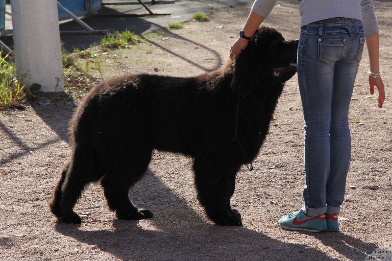 Фотография № 135933