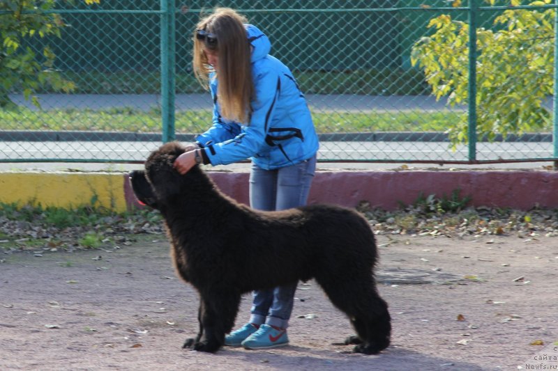 Фотография № 135934