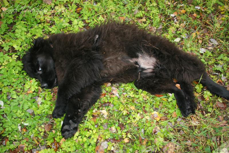 Фотография № 135944