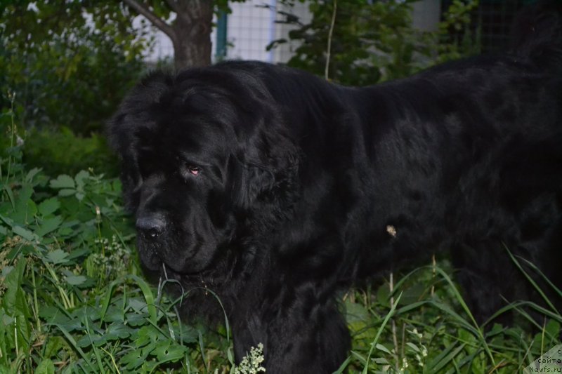 Фотография № 135951