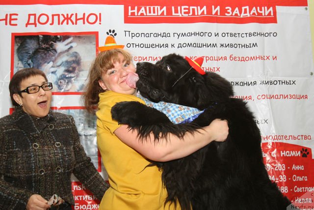 Фото: [d11664] и, Людмила Овсянникова