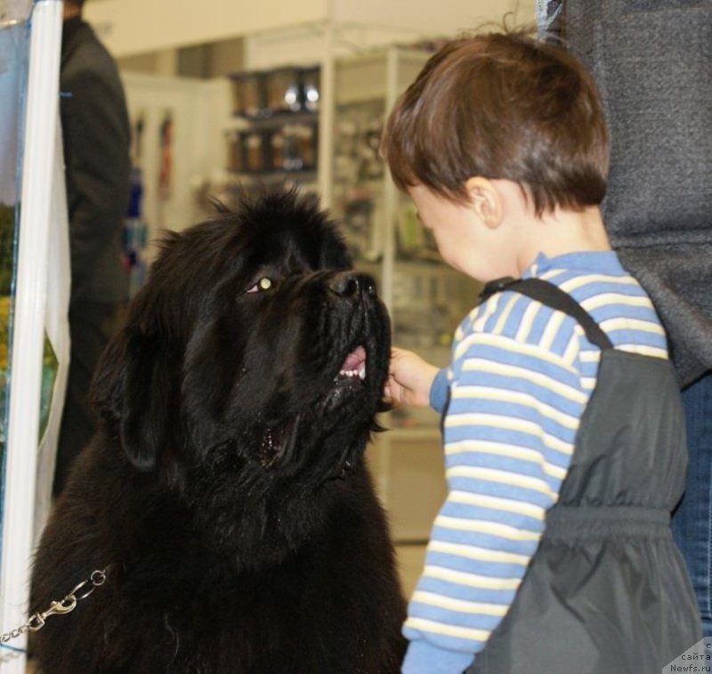 Фотография № 135984