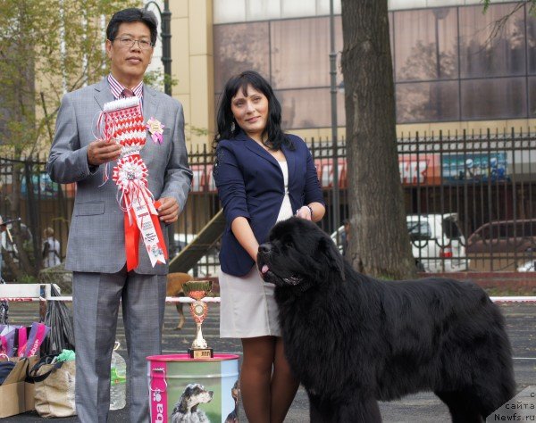 Фото: Избранник Удачи из Царства Медведей