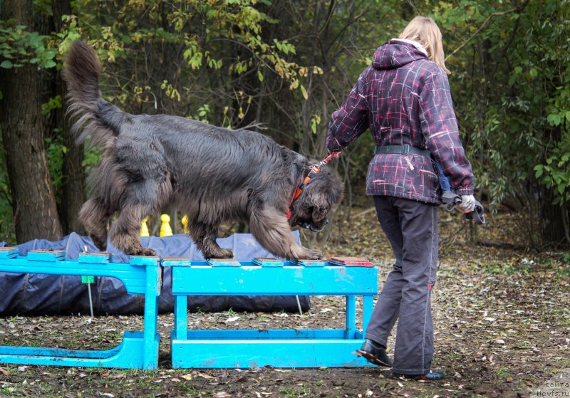 Фотография № 136033