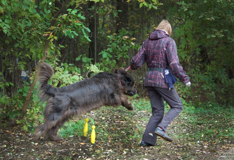 Фотография № 136034