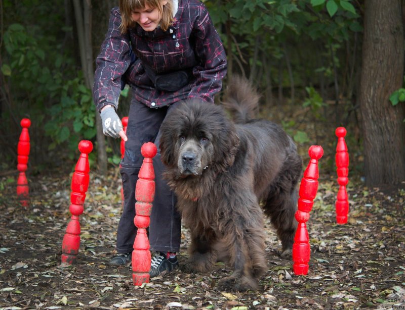 Фотография № 136037