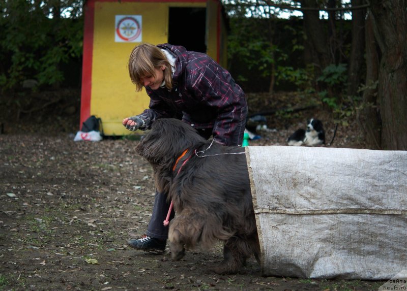 Фотография № 136038