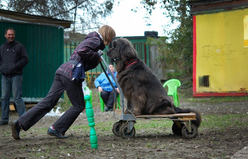 Фотография № 136039