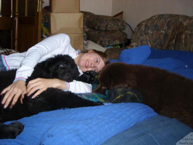 Фото: [895], [7416], [7417]