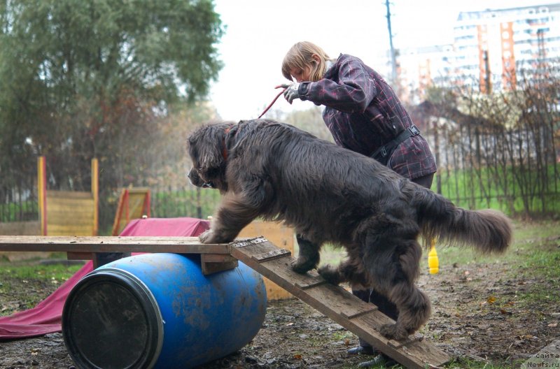 Фотография № 136044