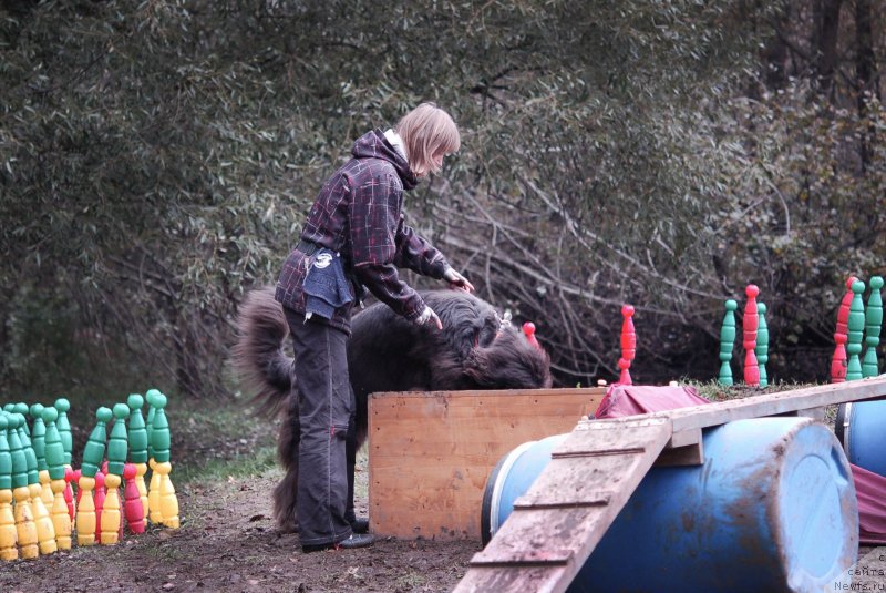 Фотография № 136047