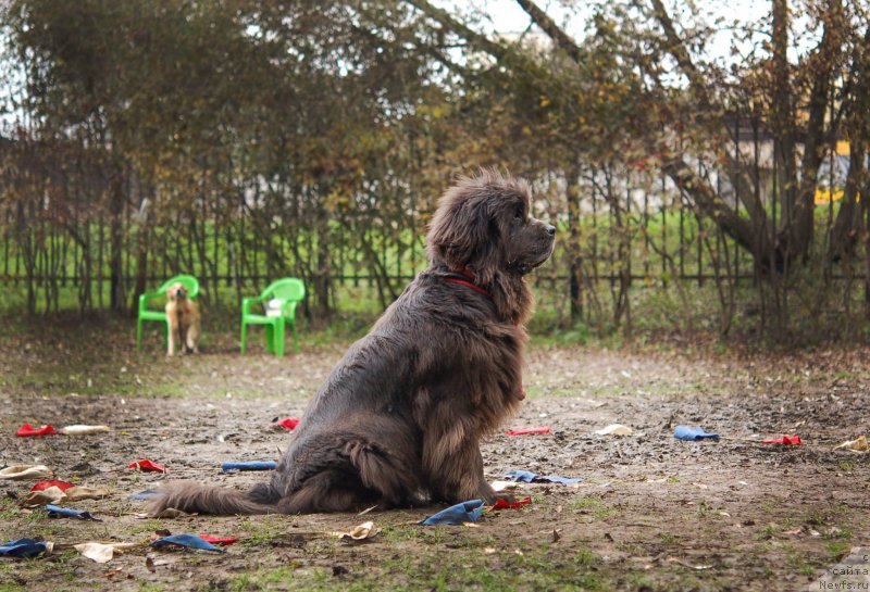 Фотография № 136048