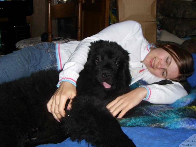 Фото: [895], [7417]