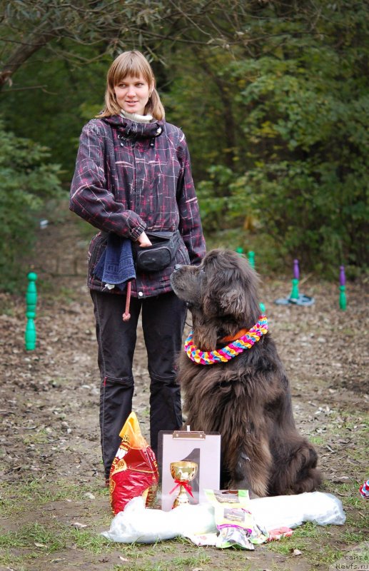 Фотография № 136052