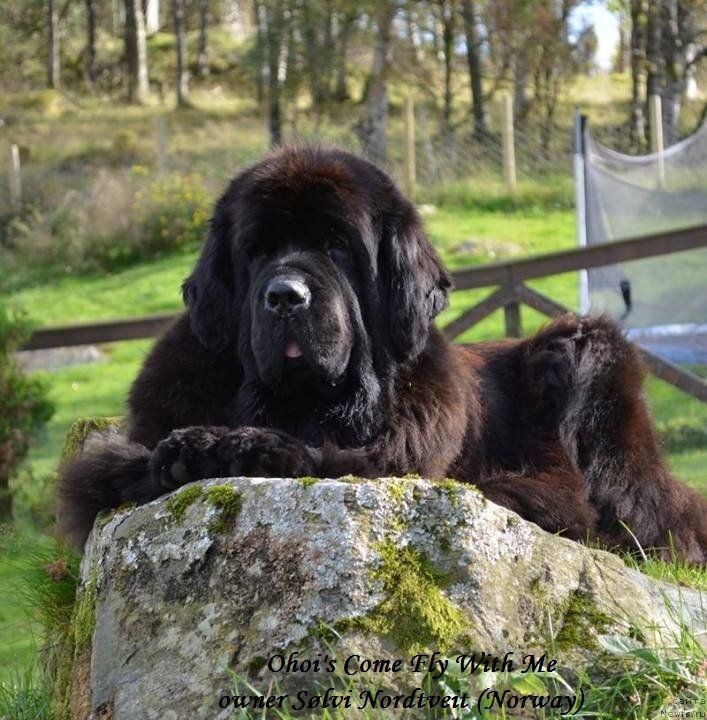 Фотография № 136065