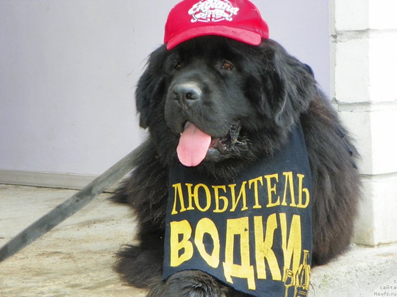 Фотография № 136069