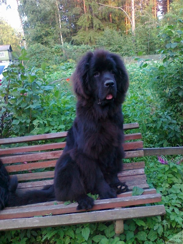 Фотография № 136094