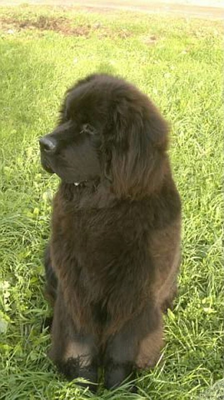 Фотография № 136095