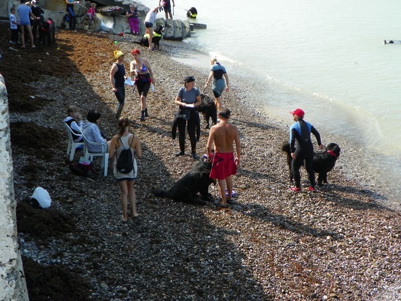 Фотография № 136147