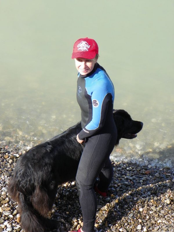 Фотография № 136149