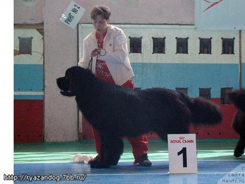 Фотография № 13616