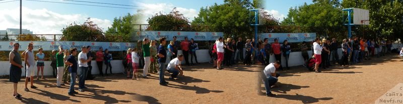 Фотография № 136163