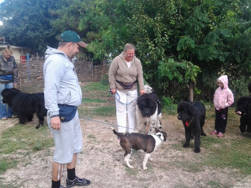 Фотография № 136178