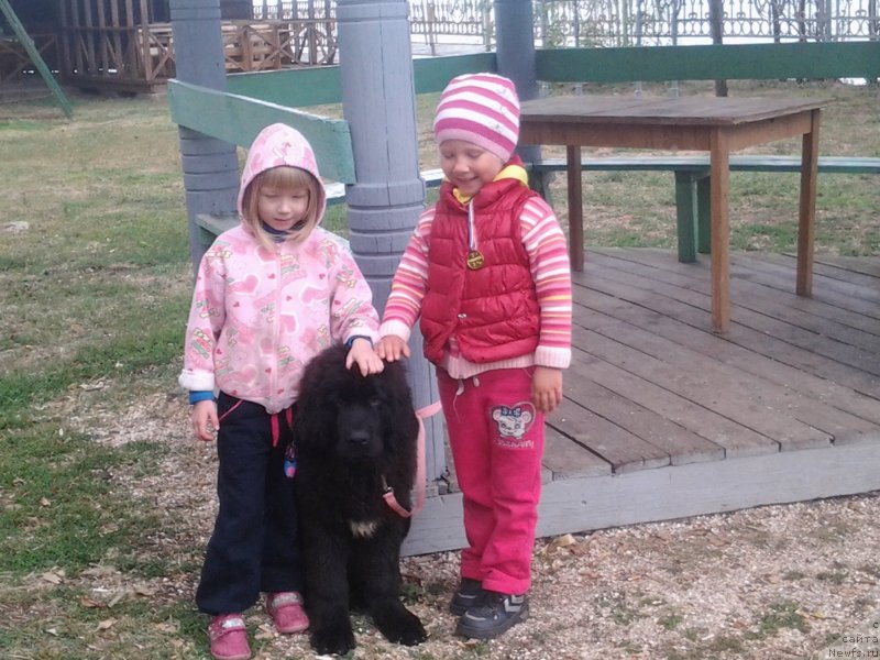 Фотография № 136181