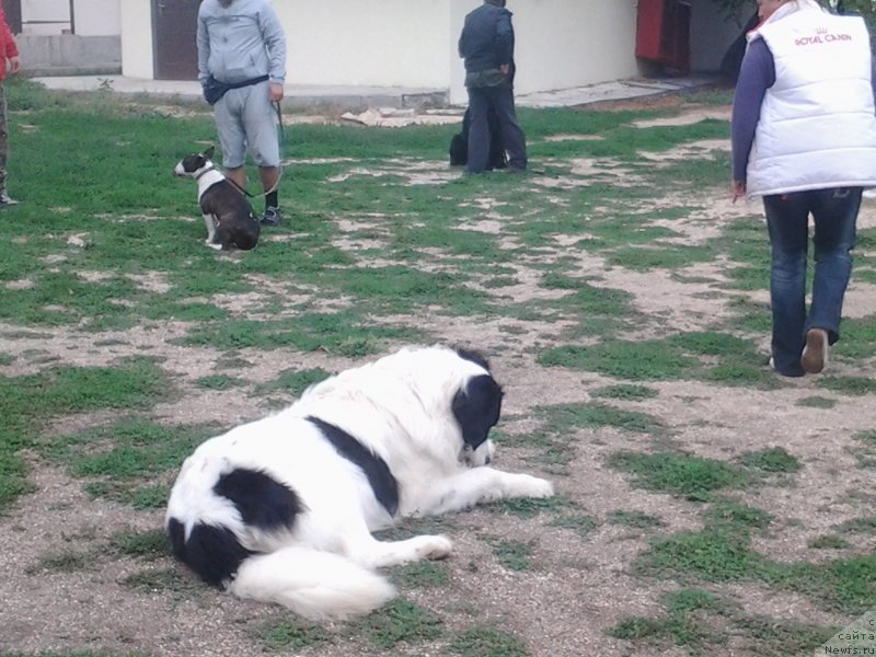 Фотография № 136185