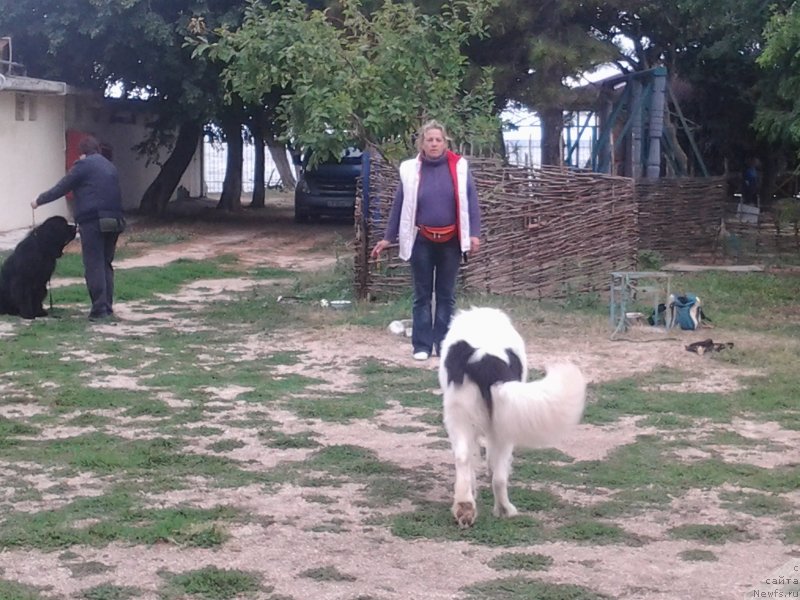 Фотография № 136186