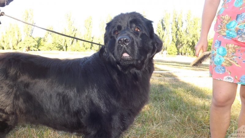 Фото: Светлана Самборская